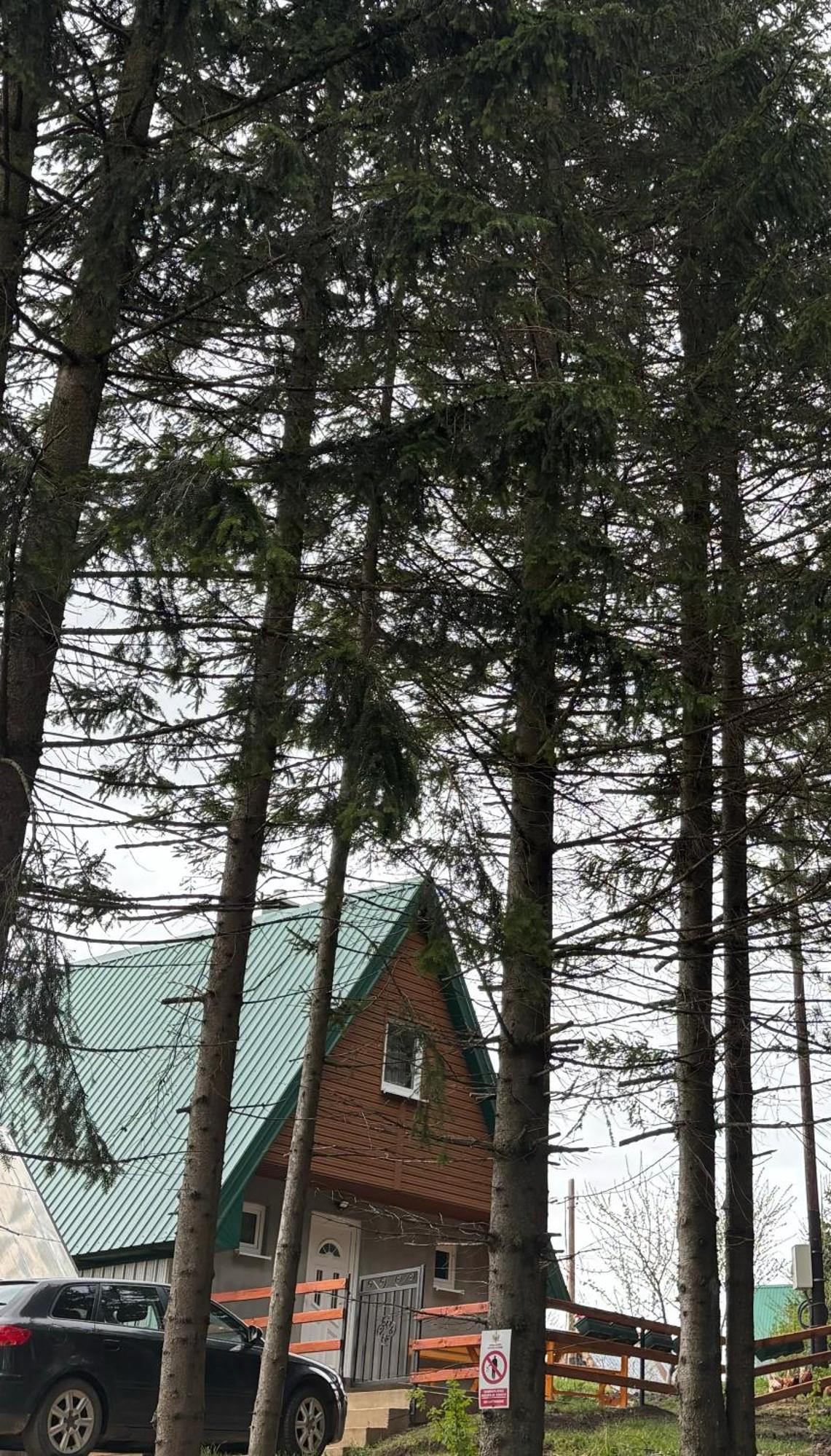 Holiday Home ,,Lazar" Žabljak Buitenkant foto