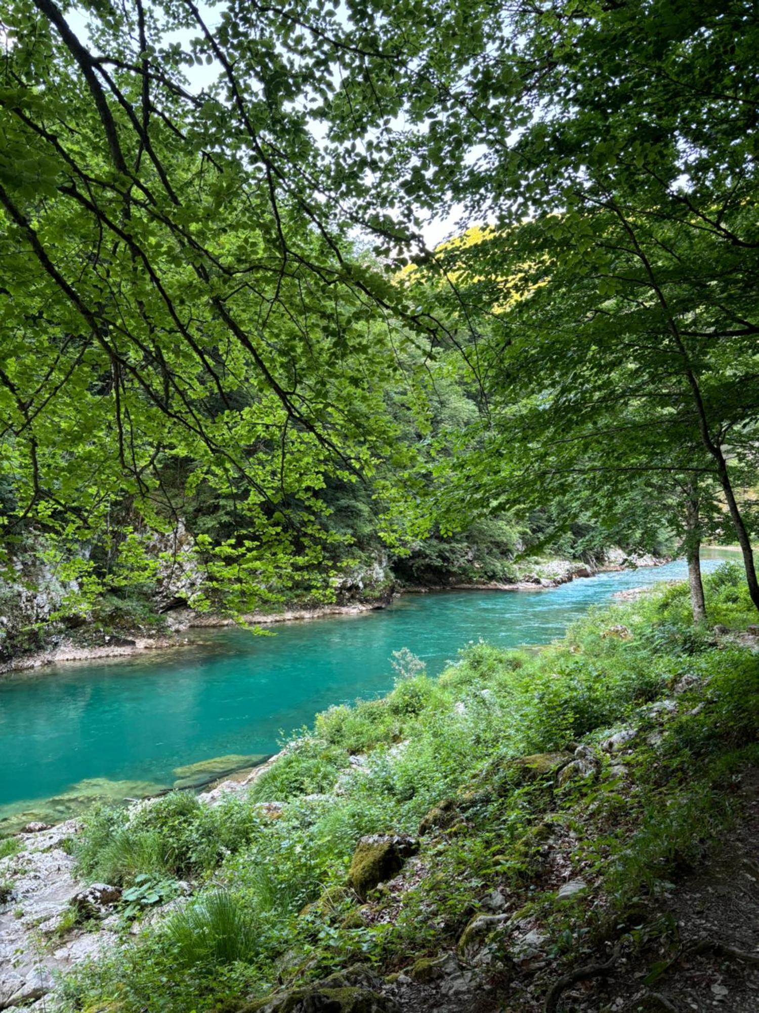 Holiday Home ,,Lazar" Žabljak Buitenkant foto