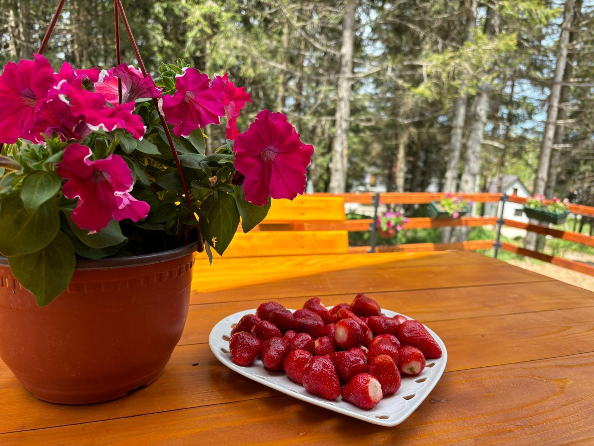 Holiday Home ,,Lazar" Žabljak Buitenkant foto